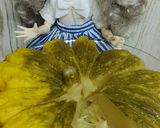 リカちゃん♡冷製ズッキーニの丸々甘煮ꕤ⠜作り方13写真