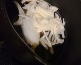 タラと炒め玉ねぎコンソメにんにくスープ作り方1写真