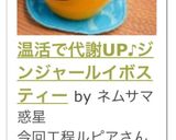 温活で代謝UP♪ジンジャールイボスティー作り方11写真