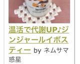 温活で代謝UP♪ジンジャールイボスティー作り方13写真
