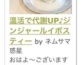 温活で代謝UP♪ジンジャールイボスティー作り方20写真