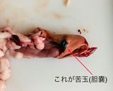 素人のための鱧の捌き方作り方6写真