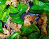 自炊飯　豚小間切れとピーマン炒め　2種味作り方10写真