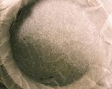 簡単‼美味しい抹茶バスク風チーズケーキ♪作り方3写真