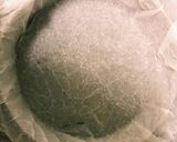 簡単‼美味しい抹茶バスク風チーズケーキ♪作り方3写真