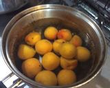 黄熟梅の梅ジュース作り方2写真