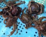 イイダコのキャベツ炒めオムライス風作り方7写真