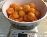 黄熟梅の梅ジュース作り方4写真