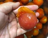 優しい甘みの自家製トマトソース！作り方3写真