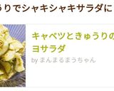 キャベツときゅうりのごまマヨサラダ作り方11写真