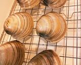 男飯★BRUNOで!親父のホンビノス蒸し作り方1写真