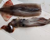 シンプルです。生イカの醤油焼き♪作り方2写真