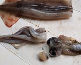 シンプルです。生イカの醤油焼き♪作り方3写真