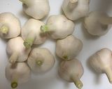 「絶品」農家直伝！生ニンニクの味噌漬け作り方1写真