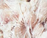 お年寄り絶讚シリーズ❗塩麹、胸肉唐揚げ❗作り方3写真
