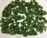 驚くほど簡単！レンジで自家製乾燥パセリ作り方11写真