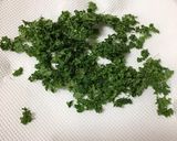 驚くほど簡単！レンジで自家製乾燥パセリ作り方12写真