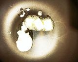 じゃがいものチーズガレット作り方6写真
