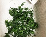 大量パクチーを4分でドライパウダーに作り方7写真
