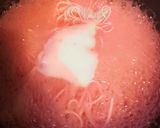 食紅で！七夕　カラーそうめん作り方3写真