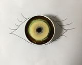 キウイ(君)の瞳に魅せられて作り方10写真
