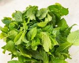ミントと万願寺とうがらしのジェノベーゼ作り方1写真