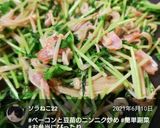 ベーコンと豆苗のニンニク炒め♪作り方20写真