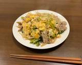 簡単ゴーヤチャンプルー作り方16写真