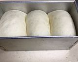 角型食パン1.5斤作り方10写真