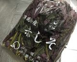 赤じそジュース作り方12写真