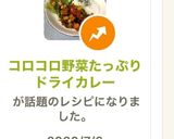 コロコロ野菜たっぷりドライカレー作り方10写真
