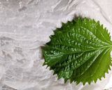 大葉の保存方法作り方1写真