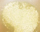 冷製トマトパスタ☆ブラータチーズをのせて作り方2写真