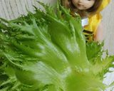 リカちゃん♡フリルレタスと茸炒めサラダꕤ作り方1写真