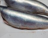 生にしんの甘辛煮作り方1写真