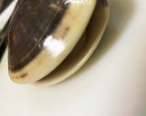 ハマグリのフライ作り方4写真