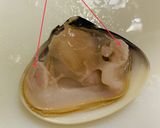 ハマグリのフライ作り方5写真