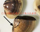 ハマグリのフライ作り方6写真