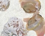 ハマグリのフライ作り方7写真