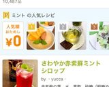 ミントを乗せよう！作り方6写真