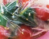 お年寄り絶讚シリーズ❗プチトマト漬け❗作り方2写真