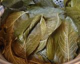 焙煎「杜仲茶」の作り方作り方2写真