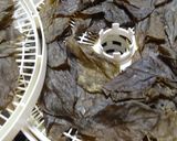 焙煎「杜仲茶」の作り方作り方4写真