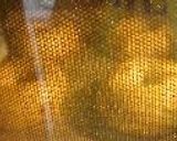 表面ぱりっ！あずきとグラハム粉のベーグル作り方13写真