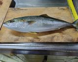 魚のさばき方作り方1写真