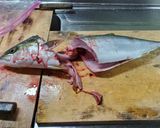 魚のさばき方作り方3写真