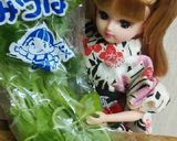 リカちゃん♡三つ葉とじゃこネギ特製ドレꕤ作り方1写真