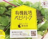 ダイエット飯ガーデンサラダ作り方1写真
