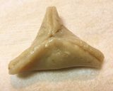 家伝風ゆべし(餡入りゆべし)作り方8写真