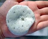 大葉のスイーツ。つるりん白玉団子♪作り方7写真